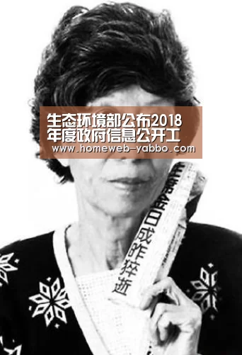 生态环境部公布2018年度政府信息公开工作报告“亚博”