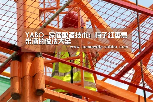 YABO-家庭酿酒技术：梅子红枣煮米酒的做法大全(图4)